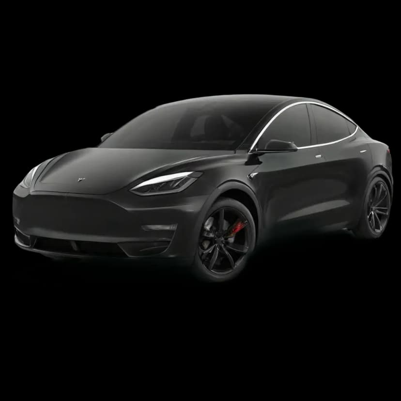 Tesla Model Y — private driver
